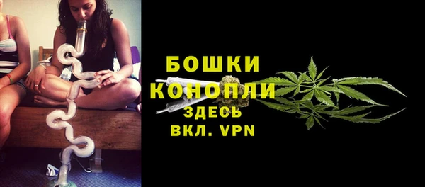 гашик Михайловск