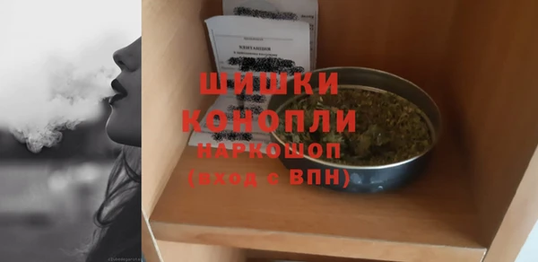 МДПВ Михайлов