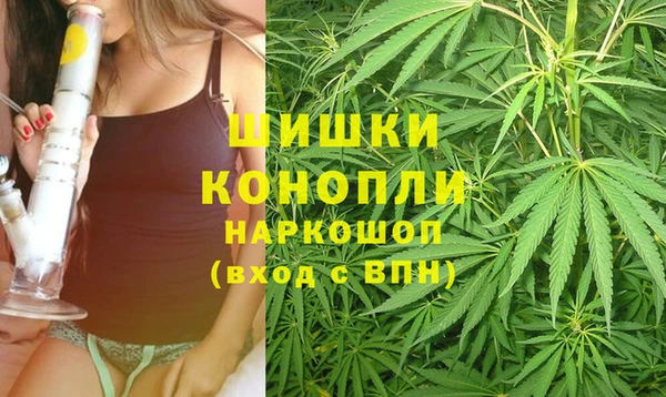гашик Михайловск