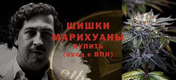 гашик Михайловск