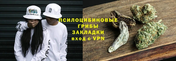 гашик Михайловск