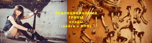 mix Надым